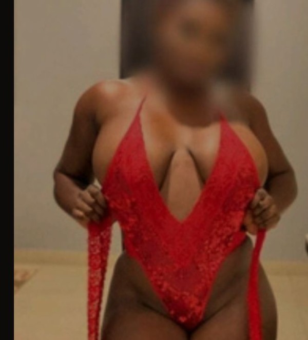 Novedad
