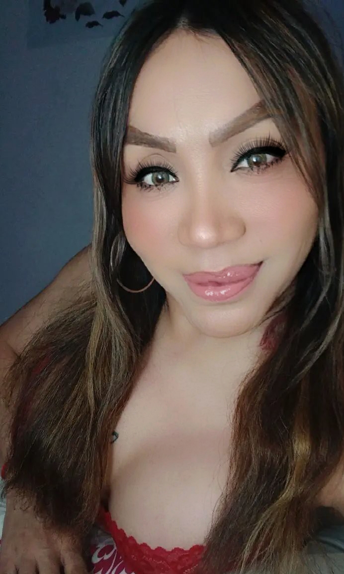 Trans Latina Para Heteros Cursos