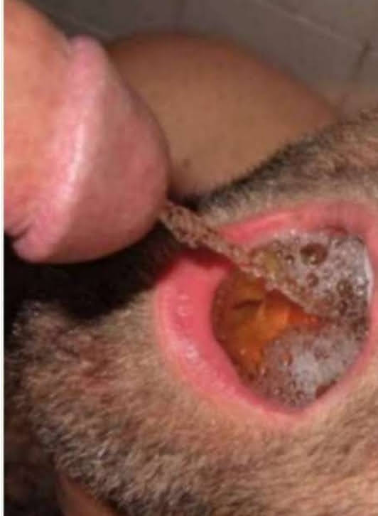 trans brasileña activa XXL en tu ciudad alexia