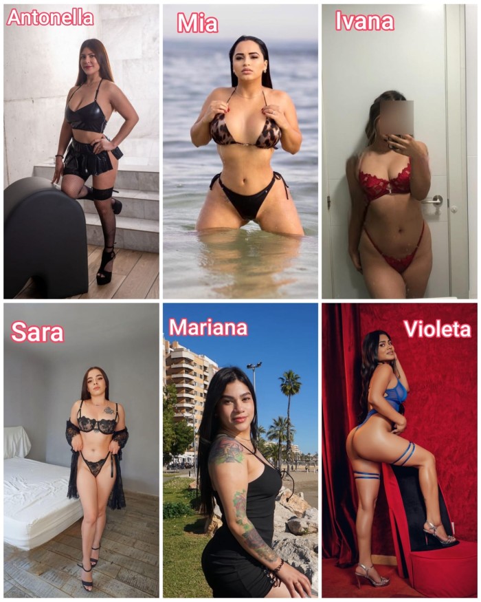 QUEREMOS TU POLLA Y FIESTA SALIDAS 24HRS
