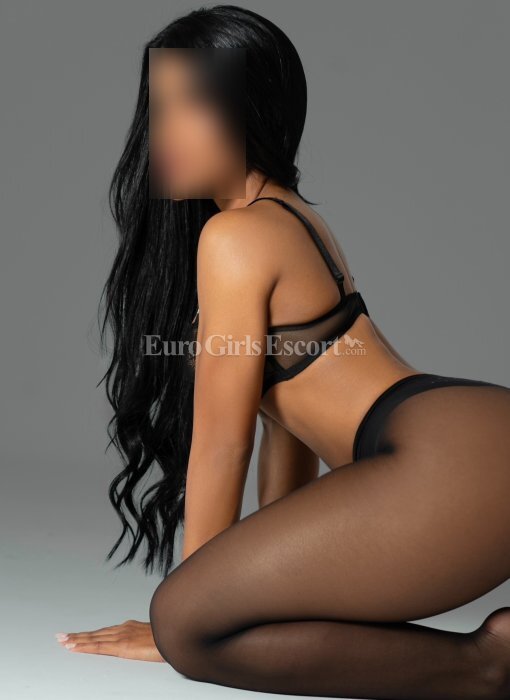 ESCORT PARA CABALLEROS SELECTOS! VIP LUXURY