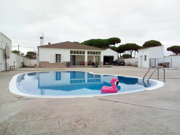 Mujer Alfa Dominante Diosa Todopoderosa