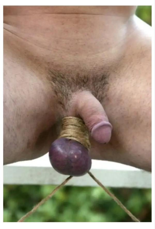 DISPUESTA ROMPE CULO .. Soy trans activa y pasivo