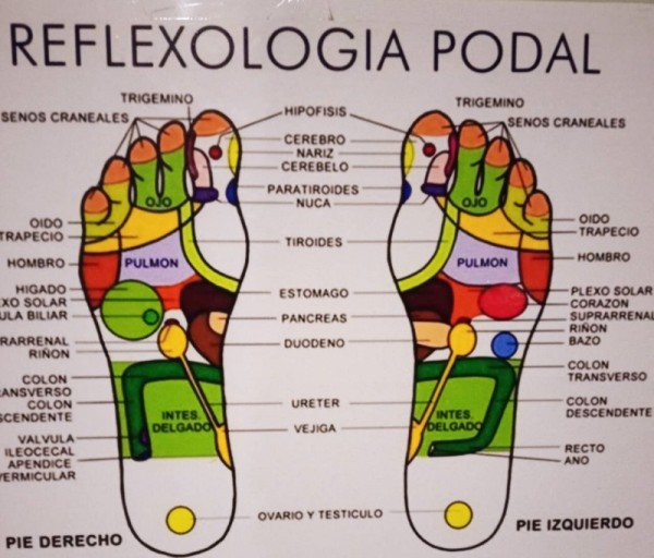 MASAJISTA ASIÁTICA CON EXPERIÉNCIA 631587515