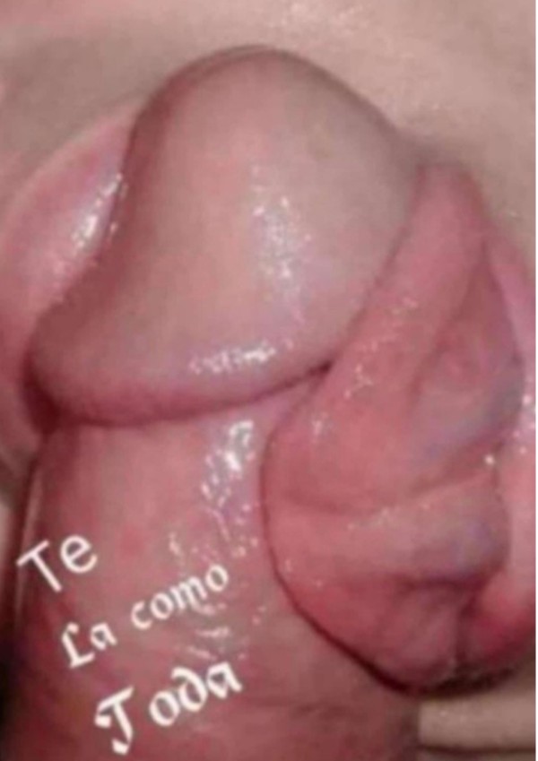 Sexo y fiesta rico francés natural besos apasionados con lengüita ricos