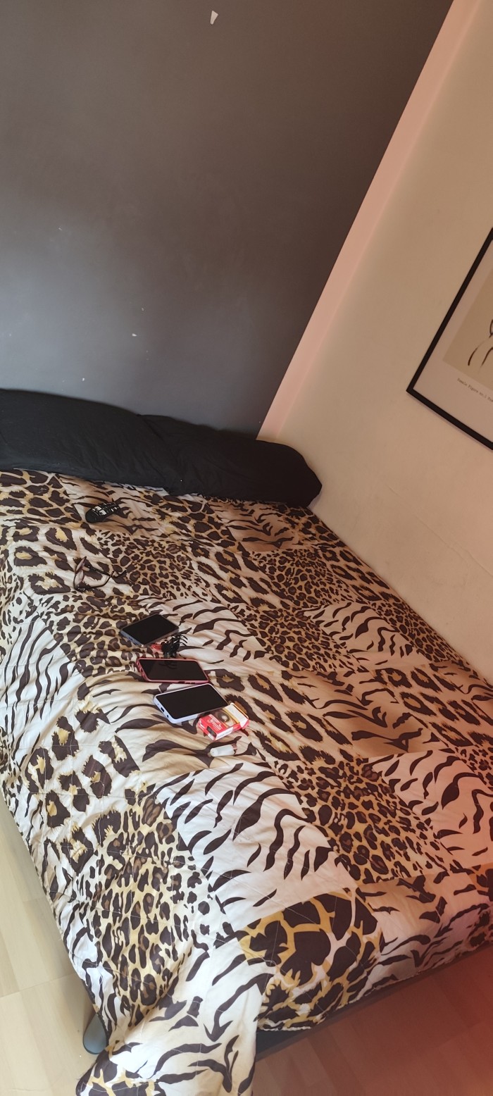 Urgente habitación libre ahora mismo Figueres