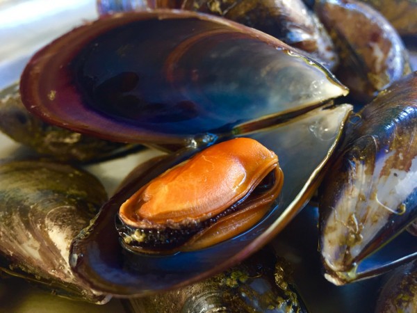 MARISCO GALLEGO… PUEDES ELEGIR MENU O CARTA.????