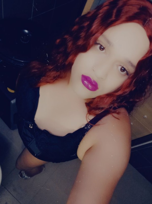 NOVEDAD EN SANTANDER TRANS FIESTERA T DOY LECHE