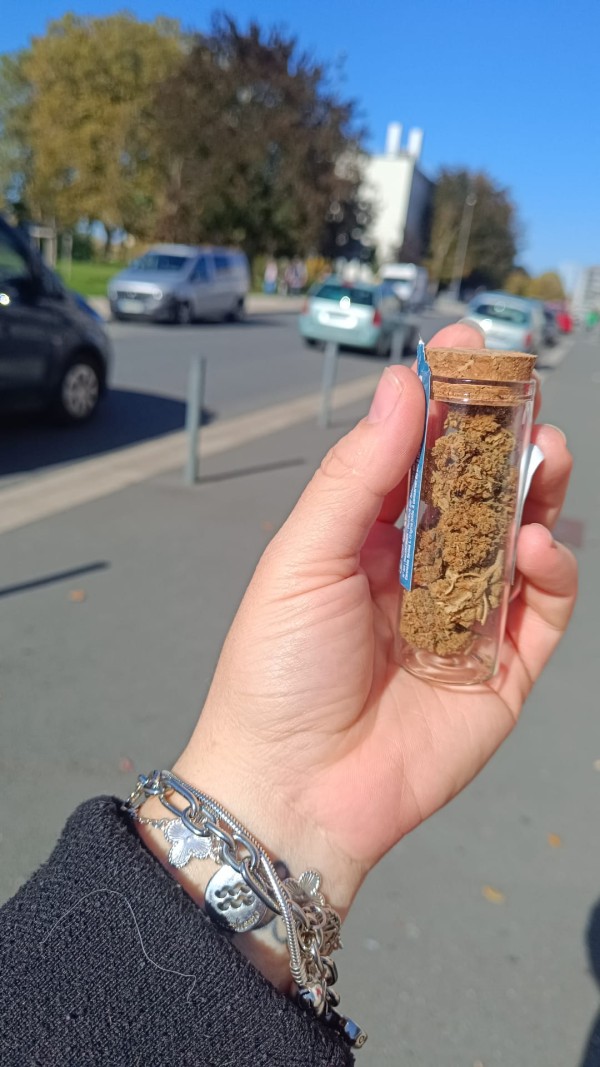 Latina caliente en Lugones