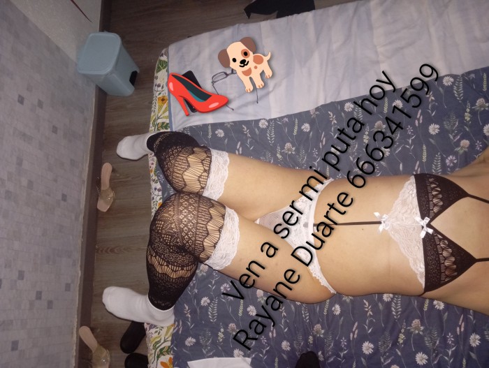 Ven y sé mi puta de cuatro patas