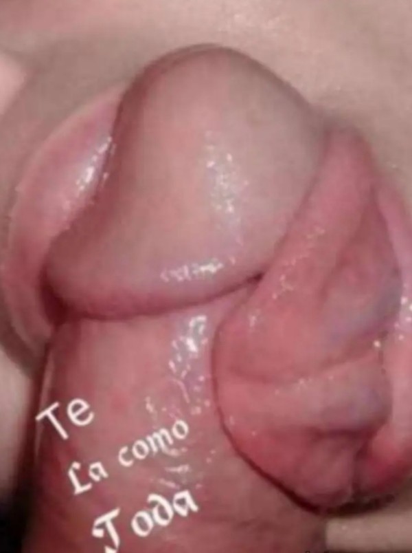 LA REINA DE LA FIESTA Y ÉL GRIEGO DISPONIBLE TODOS LOS DIAS ZONA ALCAMPO