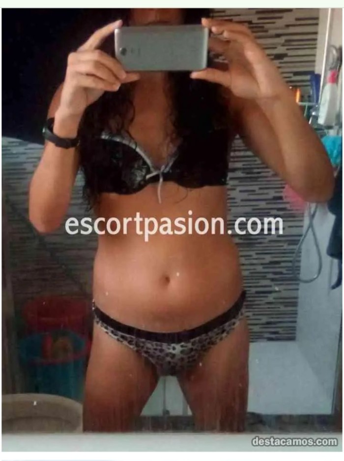 TRANS ESPAÑOLA PARTICULAR EN REINOSA