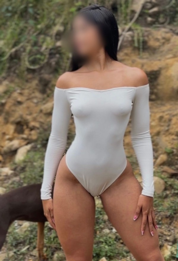 NOVEDAD CATALINA