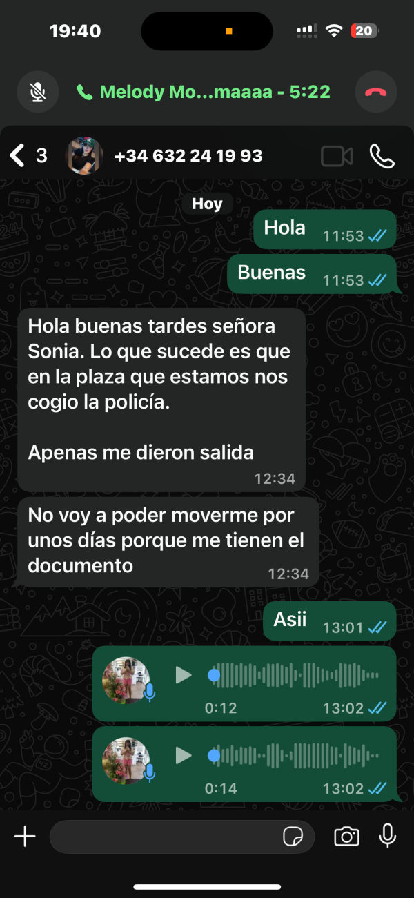 Bella latina  Duce 26