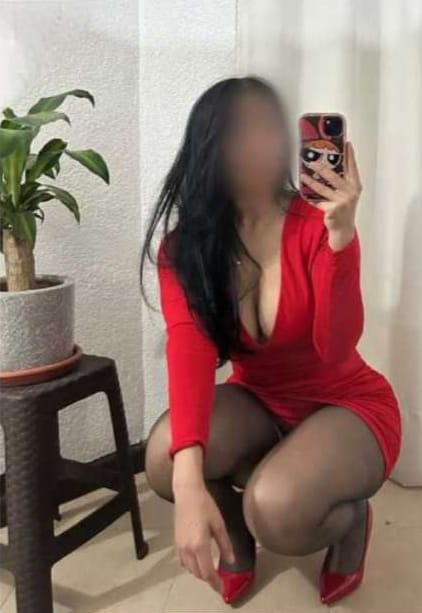 Toda una gatita muy cariñosa implicada