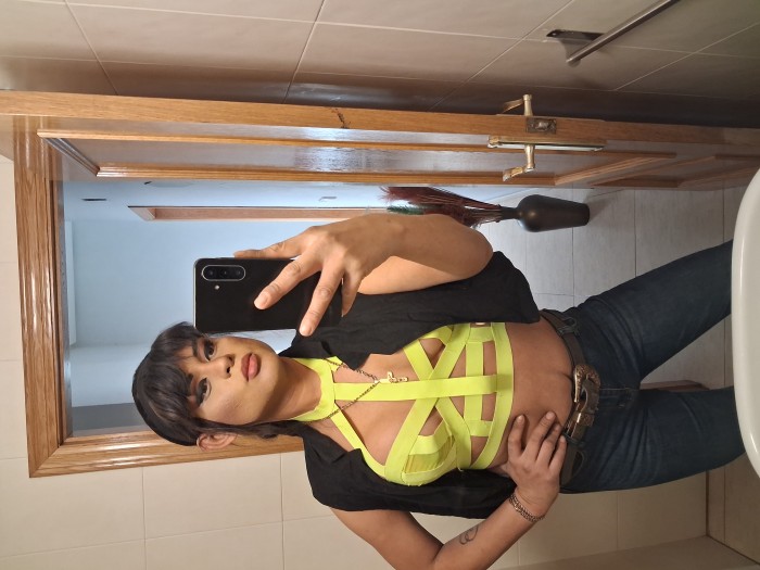 Norkis latina fiestera