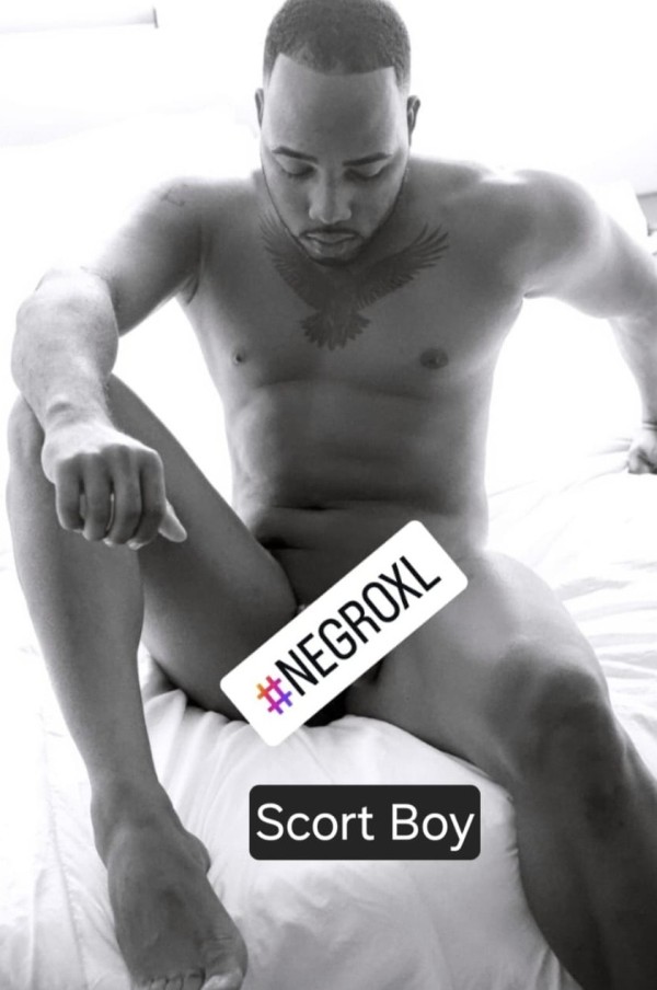 NEGRO XL POLLON DE CABALLO GRAN NOVEDAD