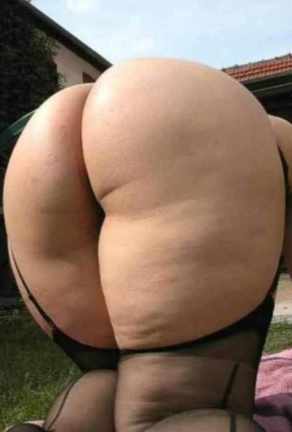 Gordita novedad