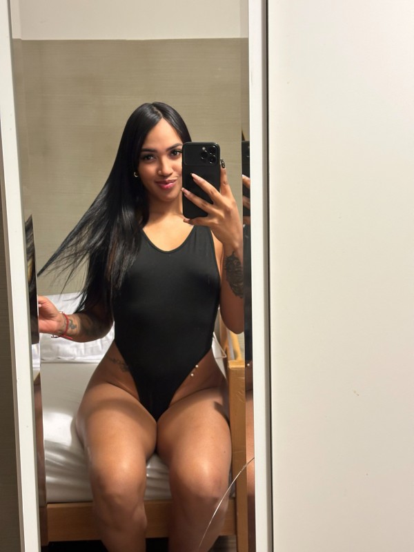 Novedad exótica morena Latina