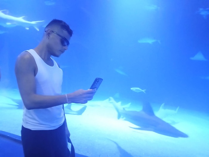 LATINO POLLON XL LECHERO VERSÁTIL FIESTERO