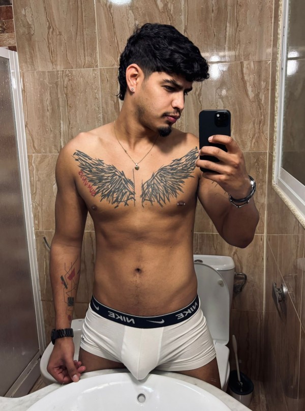 Annel venezolano versátil