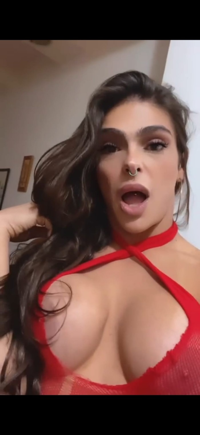 NIBELY TRANS EN BENIDORM