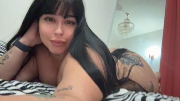 IMPLICADA Y MIMOSA GORDITA EN LAS AMÉRICAS NOVEDAD