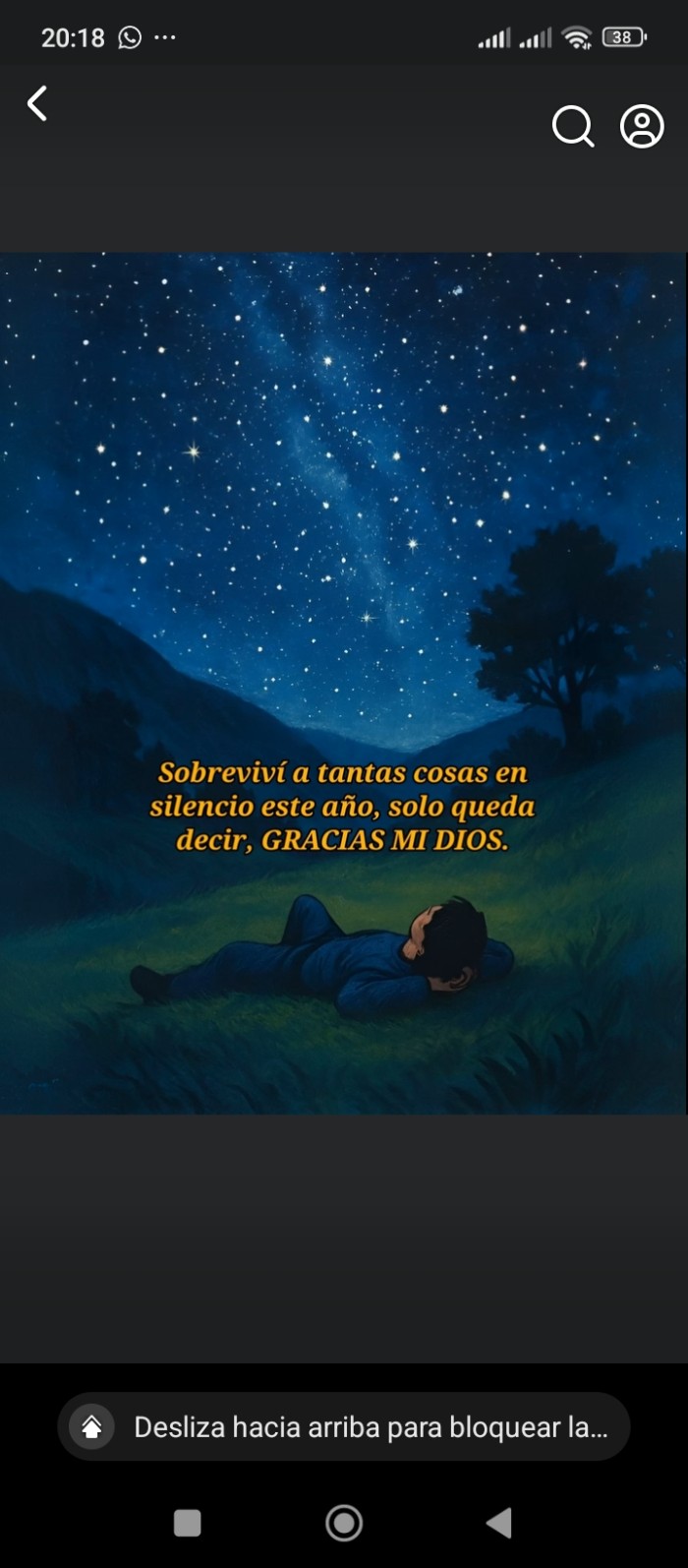 PAREJAS DECEEN EXPERIMENTAR 22CM