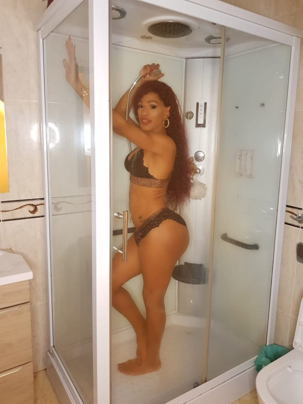 Novedad ciudad Sevilla