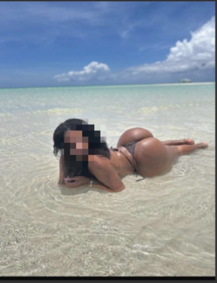 Novedad Lily Tortosa