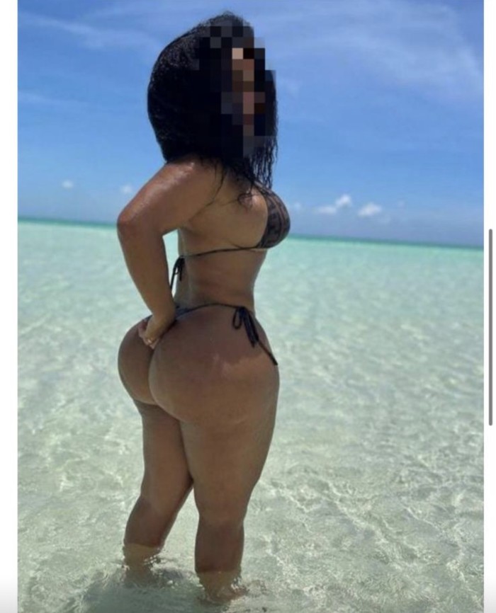 Novedad Lily Tortosa