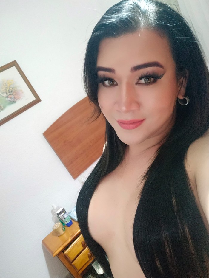 ARDIENTE VENEZOLANA ACTIVA LECHERA