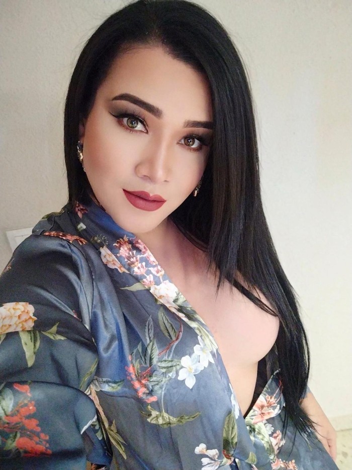 ARDIENTE VENEZOLANA ACTIVA LECHERA