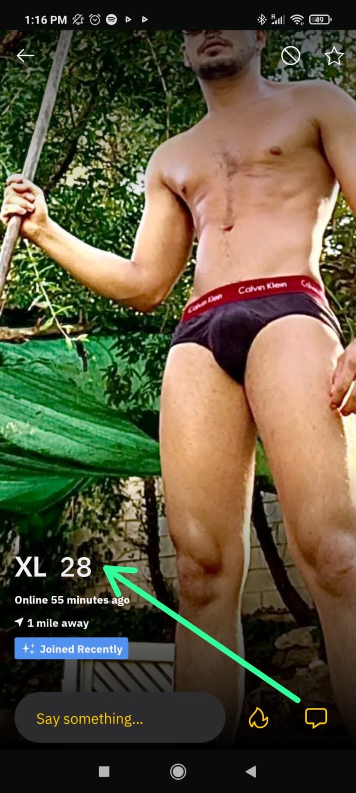 Gorda
