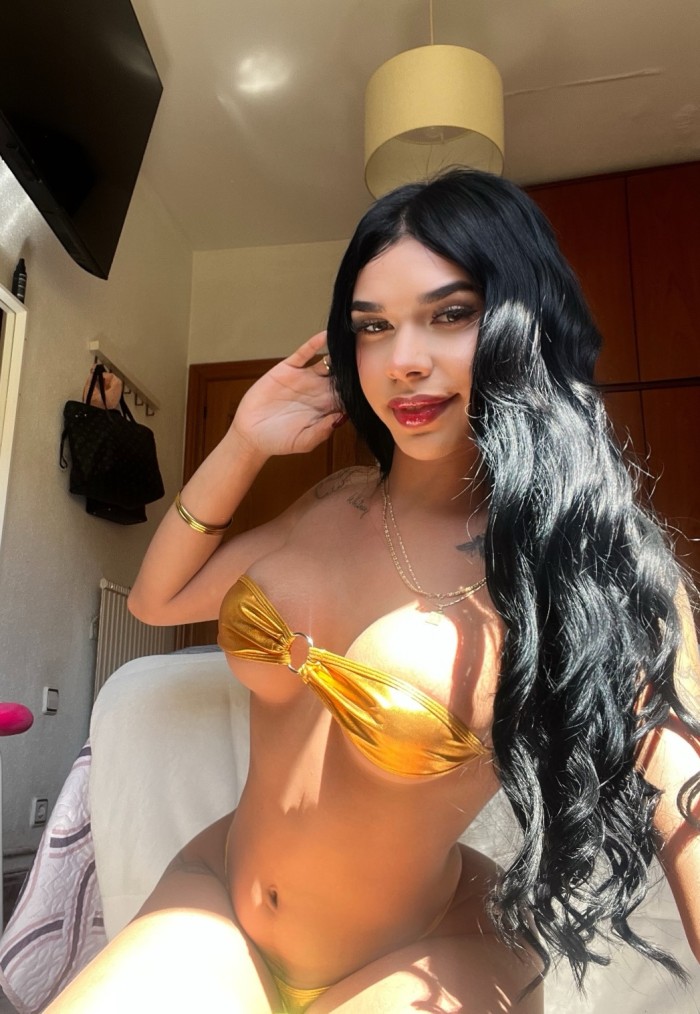 Hermosa y ardiente trans