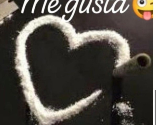 NOVEDAD CALIENTE CARIÑOSA FRANCES NATURAL