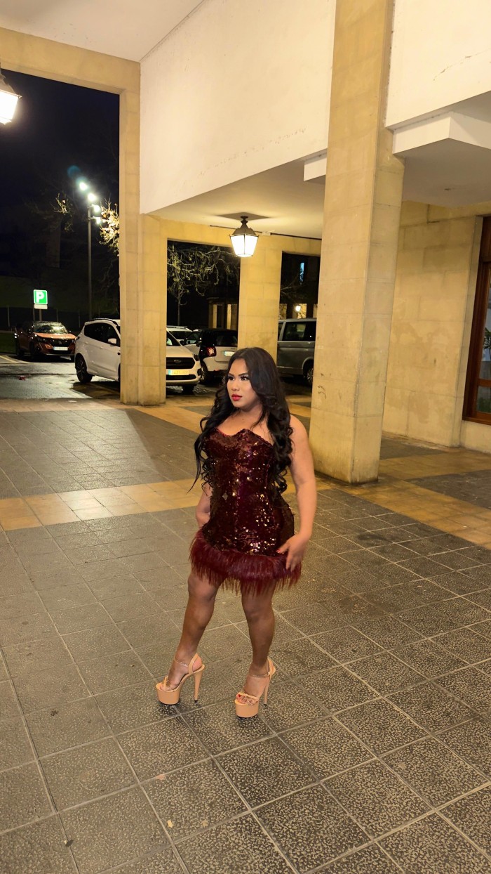 Novedad Trans. Ariadna fiestera activa,pasiva(24/7