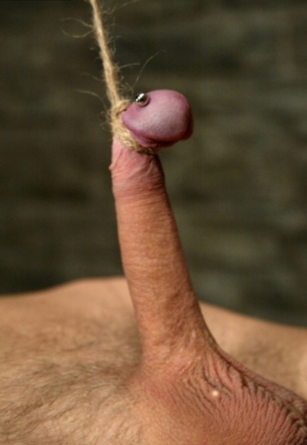 Solo acepto sumisos que sepan obedecer ! Watsap