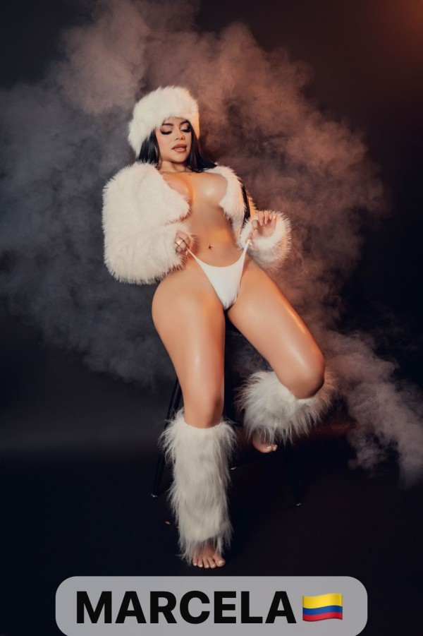 MARCELA francés ensalivado  FIESTERA GUARRA  independiente