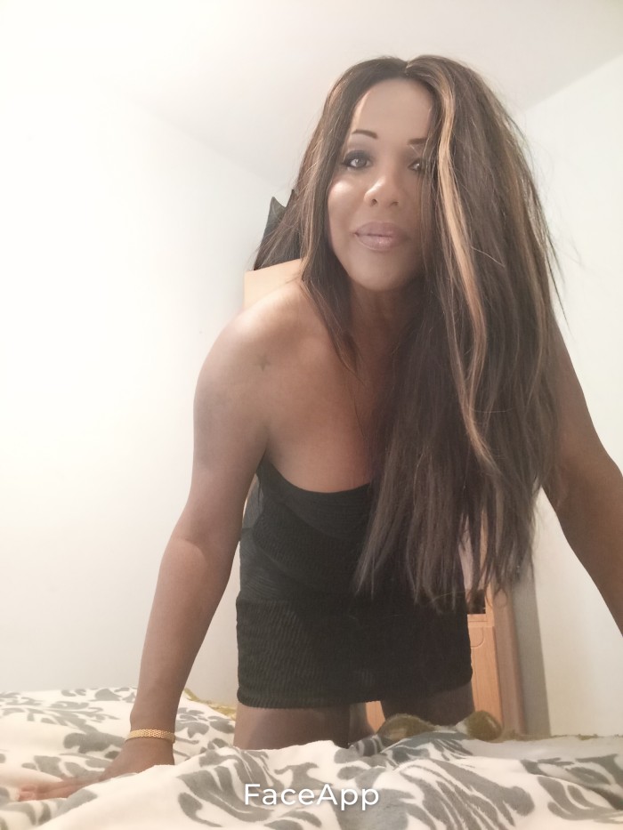 Trans pitty mulataza brasileña