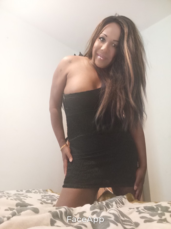 Trans pitty mulataza brasileña