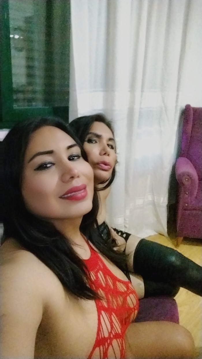 Tu morbo perfecto trio d trans