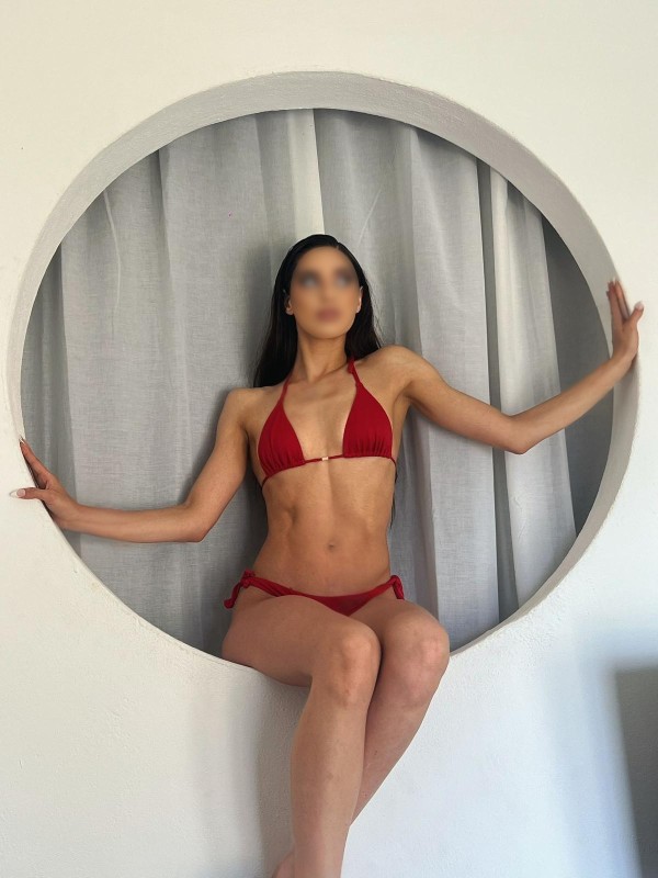 CARINA La compañía que tu instinto reclama