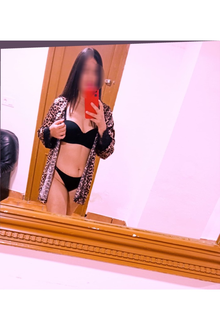 Novedad