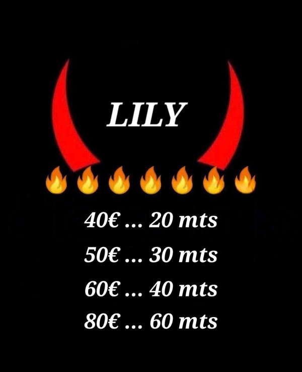 Novedad lily nueva scort