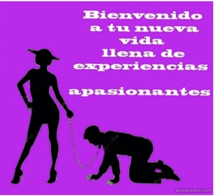 Ven a disfrutar al máximo