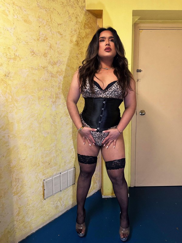 ACTIVA DOMINANTE CAÑERA FIESTERA