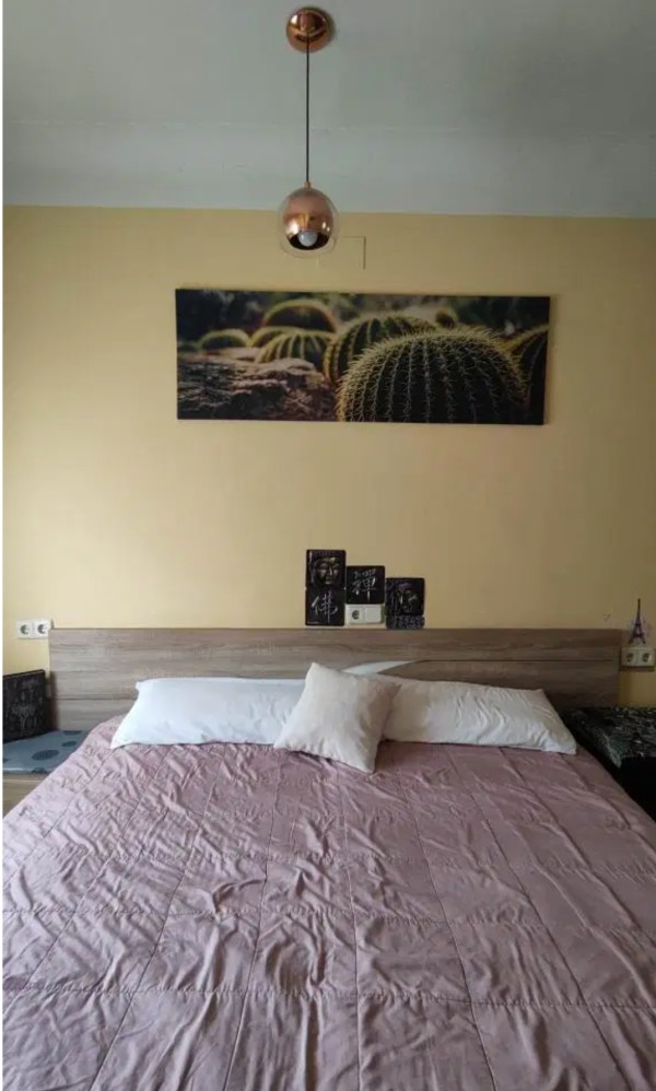 Alquilo apartamento en Legazpi