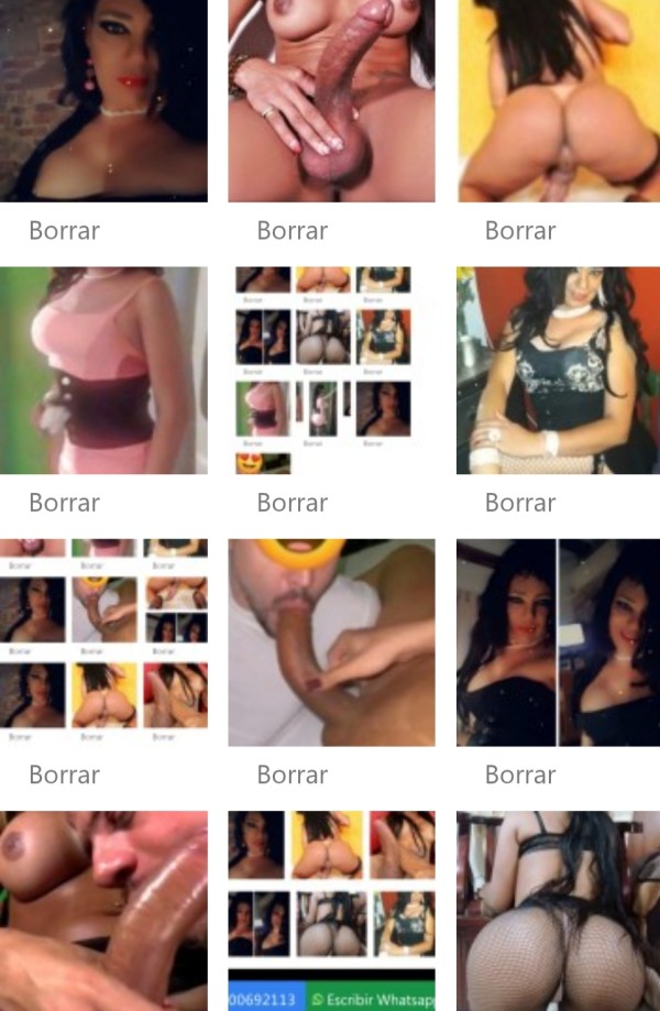 TRANS ACTIVA WAPA DOTADA 60 EUR MEDIA HORA TODO SI