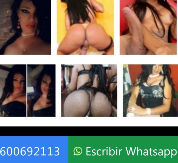 MASAJE EN CAMILLA y SEXO 60 EUR